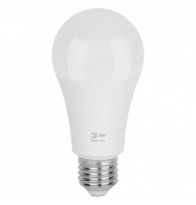 Лампа светодиодная Эра Green Line LED A60-25W-830-E27 GL