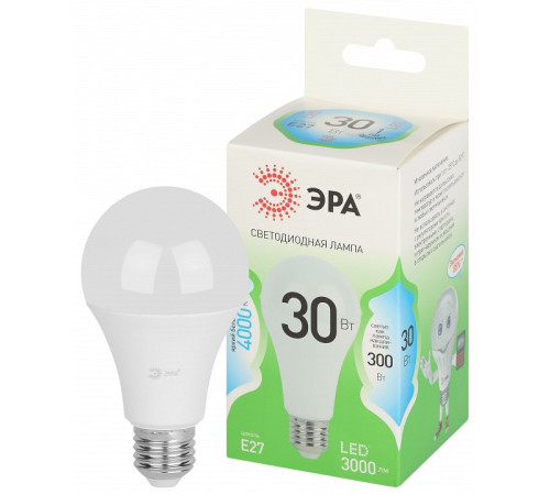 Лампа светодиодная Эра Green Line LED A65-30W-840-E27 GL
