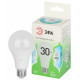 Лампа светодиодная Эра Green Line LED A65-30W-840-E27 GL
