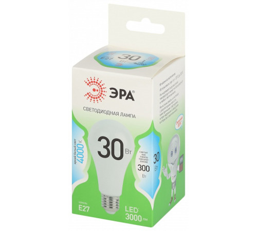 Лампа светодиодная Эра Green Line LED A65-30W-840-E27 GL