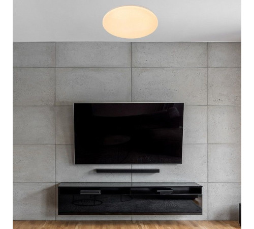 Накладной светильник Escada GALATEA 10216/SG LED APP