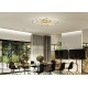 Потолочная люстра Escada Hyades 10248/6LED