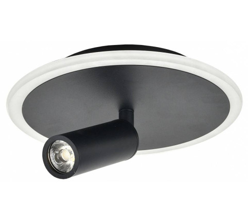 Светильник на штанге Escada 20046LED 20046SMA/01LED BK