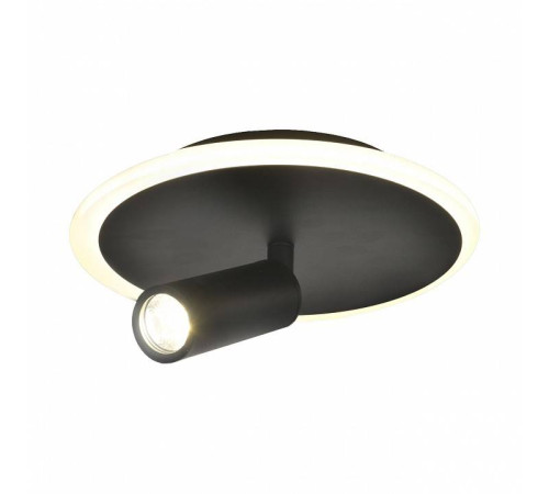 Светильник на штанге Escada 20046LED 20046SMA/01LED BK