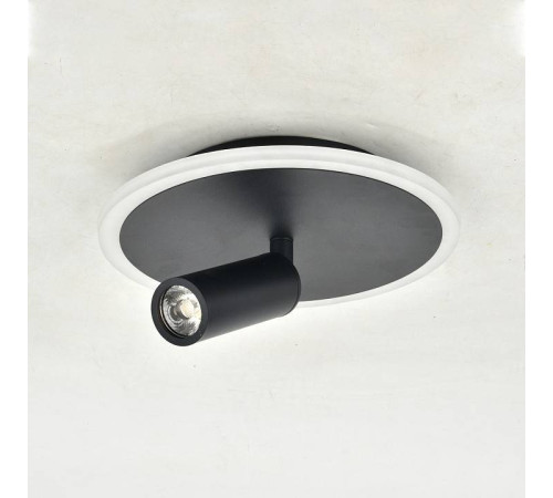 Светильник на штанге Escada 20046LED 20046SMA/01LED BK