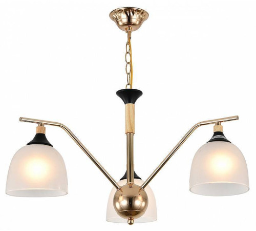 Подвесная люстра Escada Actinidia 2123/3P