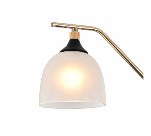 Подвесная люстра Escada Actinidia 2123/3P