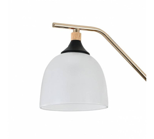 Подвесная люстра Escada Actinidia 2123/3P