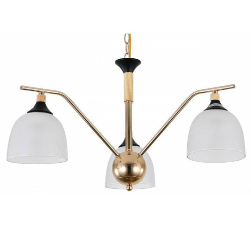 Подвесная люстра Escada Actinidia 2123/3P