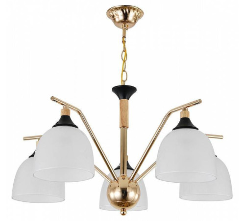 Подвесная люстра Escada Actinidia 2123/5P