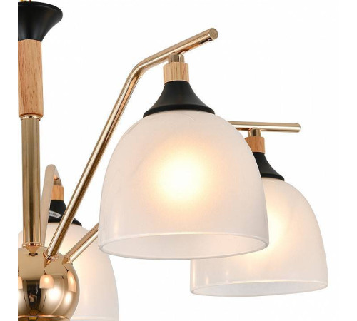 Подвесная люстра Escada Actinidia 2123/5P