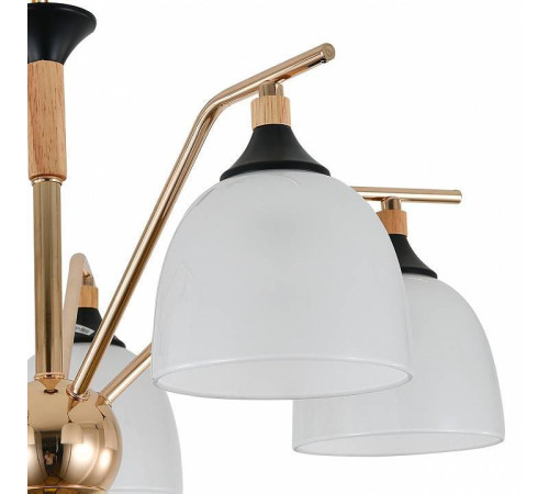 Подвесная люстра Escada Actinidia 2123/5P