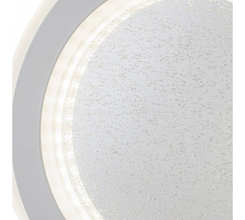 Накладной светильник Escada SIGNUM 608/S LED