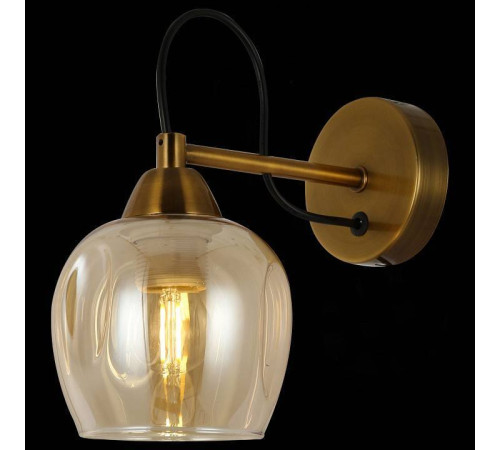 Бра EVOLUCE Acro SLE110001-01
