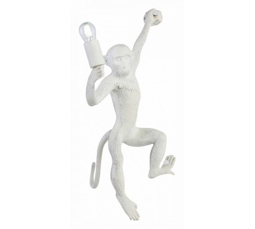 Накладной светильник EVOLUCE Tenato SLE115111-01