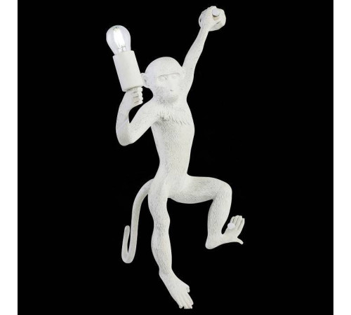 Накладной светильник EVOLUCE Tenato SLE115111-01