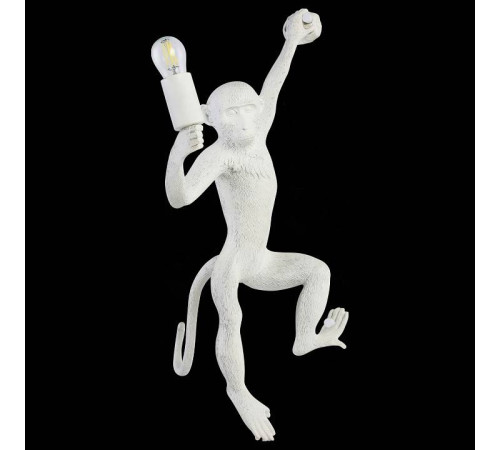 Накладной светильник EVOLUCE Tenato SLE115111-01