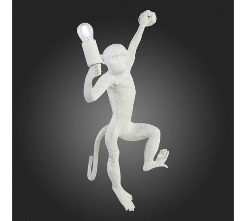 Накладной светильник EVOLUCE Tenato SLE115111-01