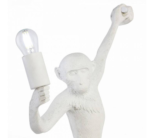 Накладной светильник EVOLUCE Tenato SLE115111-01