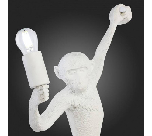 Накладной светильник EVOLUCE Tenato SLE115111-01