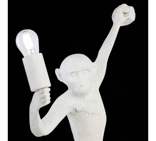 Накладной светильник EVOLUCE Tenato SLE115111-01