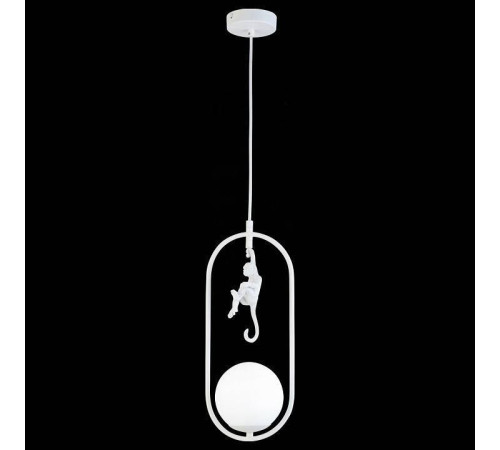 Подвесной светильник EVOLUCE Tenato SLE115123-01