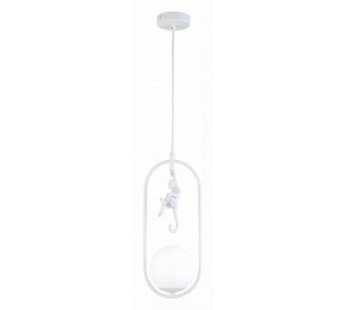 Подвесной светильник EVOLUCE Tenato SLE115123-01