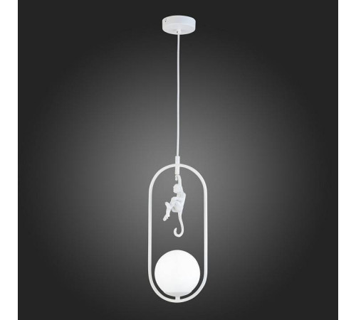 Подвесной светильник EVOLUCE Tenato SLE115123-01