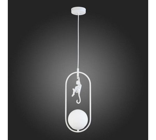 Подвесной светильник EVOLUCE Tenato SLE115123-01