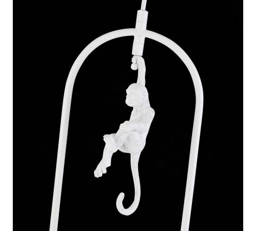 Подвесной светильник EVOLUCE Tenato SLE115123-01