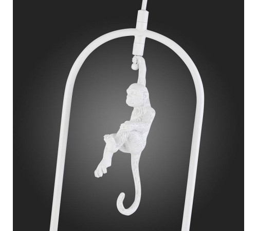 Подвесной светильник EVOLUCE Tenato SLE115123-01