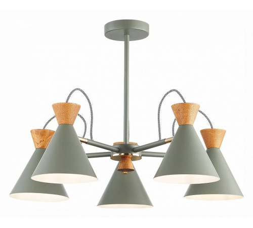 Люстра на штанге EVOLUCE Modica SLE125112-05