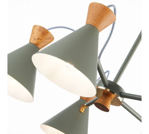 Люстра на штанге EVOLUCE Modica SLE125112-05