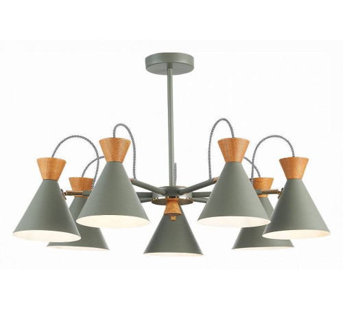 Люстра на штанге EVOLUCE Modica SLE125112-07