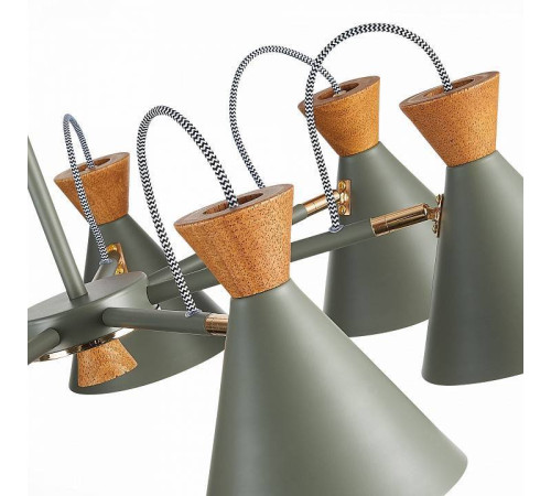 Люстра на штанге EVOLUCE Modica SLE125112-07