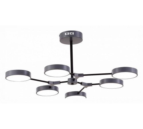 Люстра на штанге EVOLUCE Monta 6 LED SLE6003-702-06