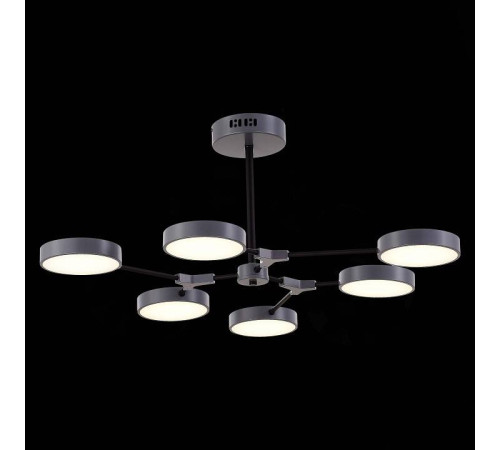 Люстра на штанге EVOLUCE Monta 6 LED SLE6003-702-06