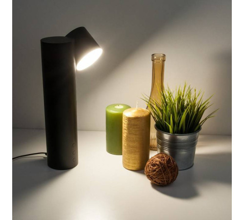 Настольная лампа декоративная Eurosvet Premier 80425/1 черный