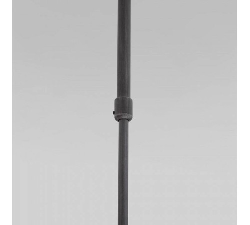 Светильник на штанге Eurosvet Pacific 50255/1 титан