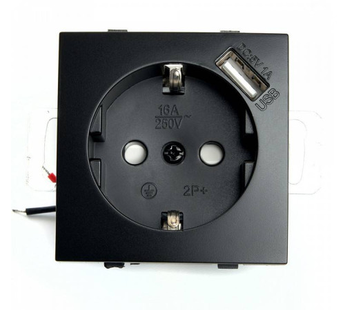 Розетка с заземлением и с шторками и 2хUSB, без рамки Stekker Эрна 49155