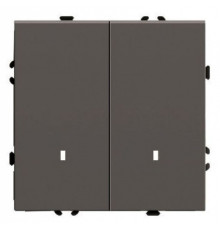 Выключатель двухклавишный без рамки Stekker Эмили 49916