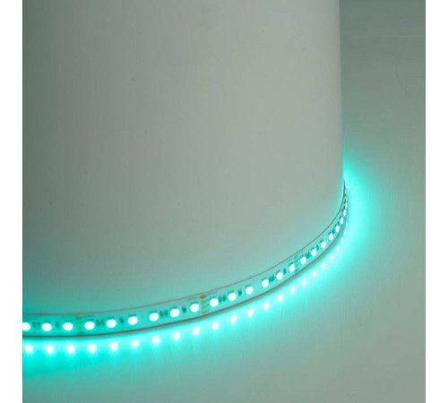 Лента светодиодная Feron LS501 51823