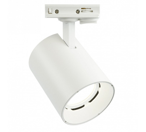 Светильник на штанге Feron AL169 51849