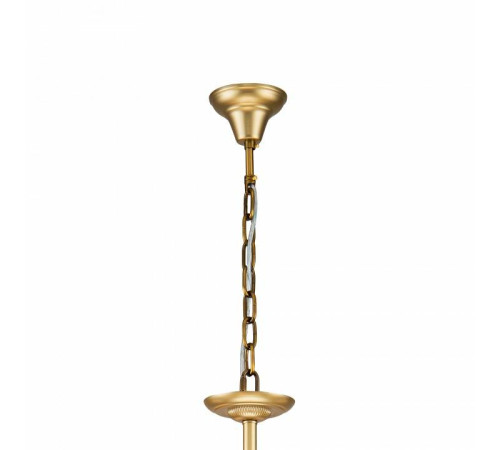 Подвесная люстра Favourite Sollemnis 2621-8P