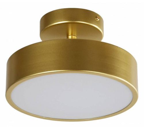 Светильник на штанге F-promo Atma 3059-2P