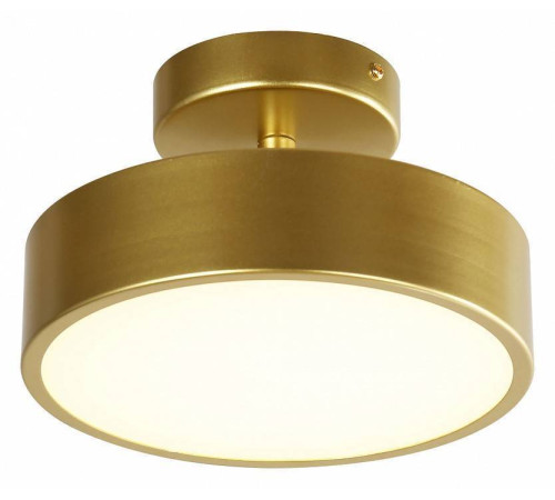 Светильник на штанге F-promo Atma 3059-2P