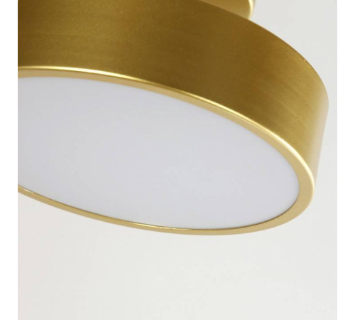 Светильник на штанге F-promo Atma 3059-2P