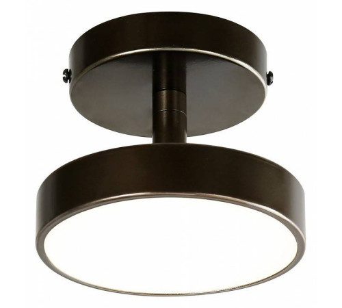 Светильник на штанге F-promo Atma 3060-1P