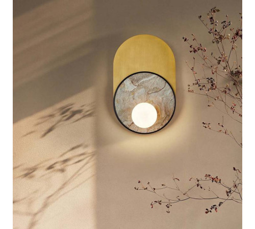 Накладной светильник Favourite Messier 4595-1W