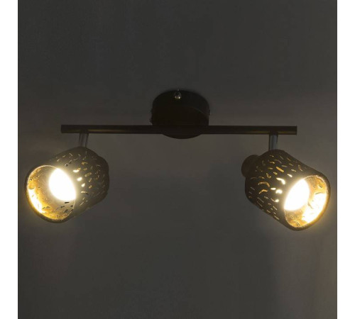 Бра Globo Troy 54121-2